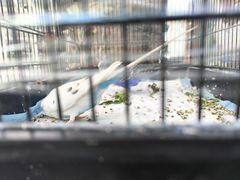 -丽江庭院之丽江往事(安定门店)