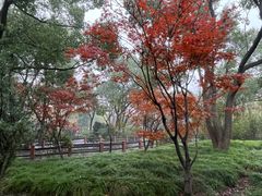 -亭林公园