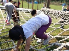 -田园东方蜜桃村的田野营地