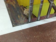 -牛煎里牛肉煎包淮南牛肉汤(广东路店)