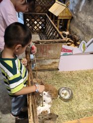 -酷嗒动物文化乐园(cutezoo西溪乐天城店)