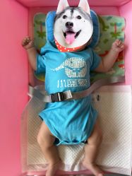 -小蓝象(五角场万达店)