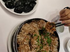 -金春禧(北国商城店)