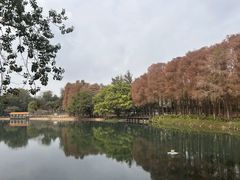 -鹿鸣酒家(越秀店)