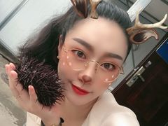 -海胆小馆(东北水饺·春柳店)