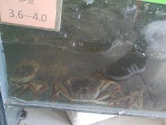 -阳澄湖大闸蟹·琼灵阁牌品牌连锁(吴中总店)