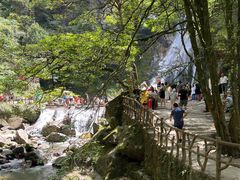 -炎陵县神农谷国家森林公园