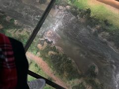 -祥源·阜阳生态乐园