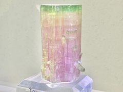 -安徽省地质博物馆