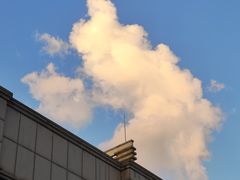 -老陈婆手工面庄