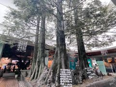 -中国湿地博物馆