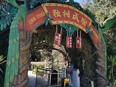 -瑞丽独树成林风景区