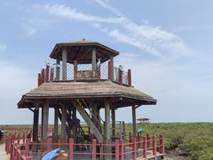 -北海金海湾红树林生态旅游区