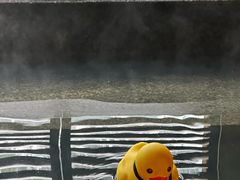 -春晖园度假酒店温泉