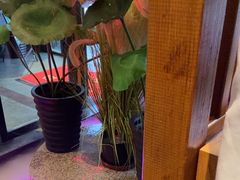 -巴渝菜馆(涿州店)