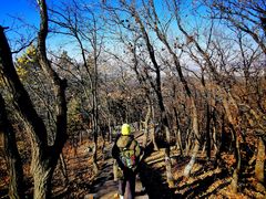 -帽儿山国家森林公园