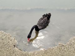 -西山漾湿地公园