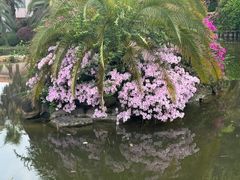 -圣爵菲斯大酒店(长沙世界之窗店)
