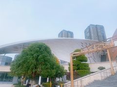 -重庆国际马戏城