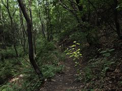 -雾灵西峰