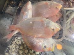 -福建美食城(老君堂店)