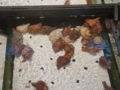-添福来墨鱼饺子 · 海鲜东北菜(泡崖店)