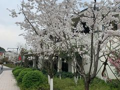 -湘湖金融镇