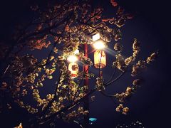 -西安青龙寺遗址景区