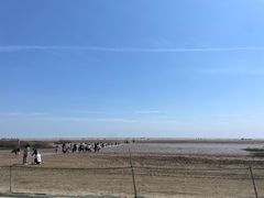 -启东黄金海滩景区