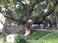 -中国美术学院象山校区-民艺博物馆