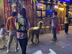 -入火韩国烤肉(凯旋广场店)