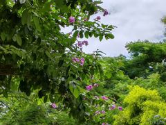 -怡海公园(桂城街道)