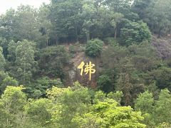 -三水森林公园