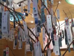 -茶颜观色(大顺巷店)