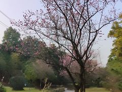 -天赐温泉