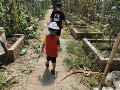 -马陆小张葡萄园农家乐