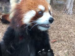 -东部华侨城