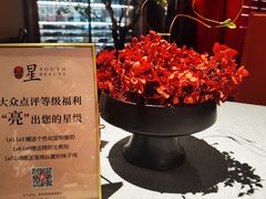 -星·South Beauty·俏江南(国贸店)