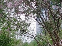 -群力丁香公园