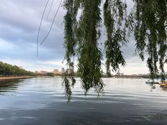 -长春市南湖公园