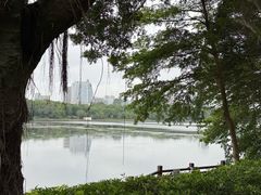 -南宁南湖公园