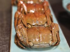 -蟹村草堂·苏式园林人文农家·大闸蟹