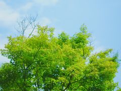 -湘湖逍遥庄园·水漾中餐厅