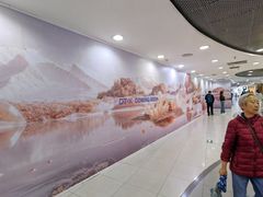 -凯德MALL(西直门店)