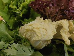 -草原塞蛮羊火锅城(港湾店)