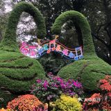 陪儿子上去也不敢拍照，腿软厉害！