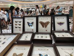 -万达广场(武汉菱角湖店)