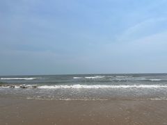 -日照海滨国家森林公园