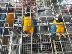 -鄂尔多斯野生动物园