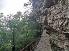 -北京上方山国家森林公园